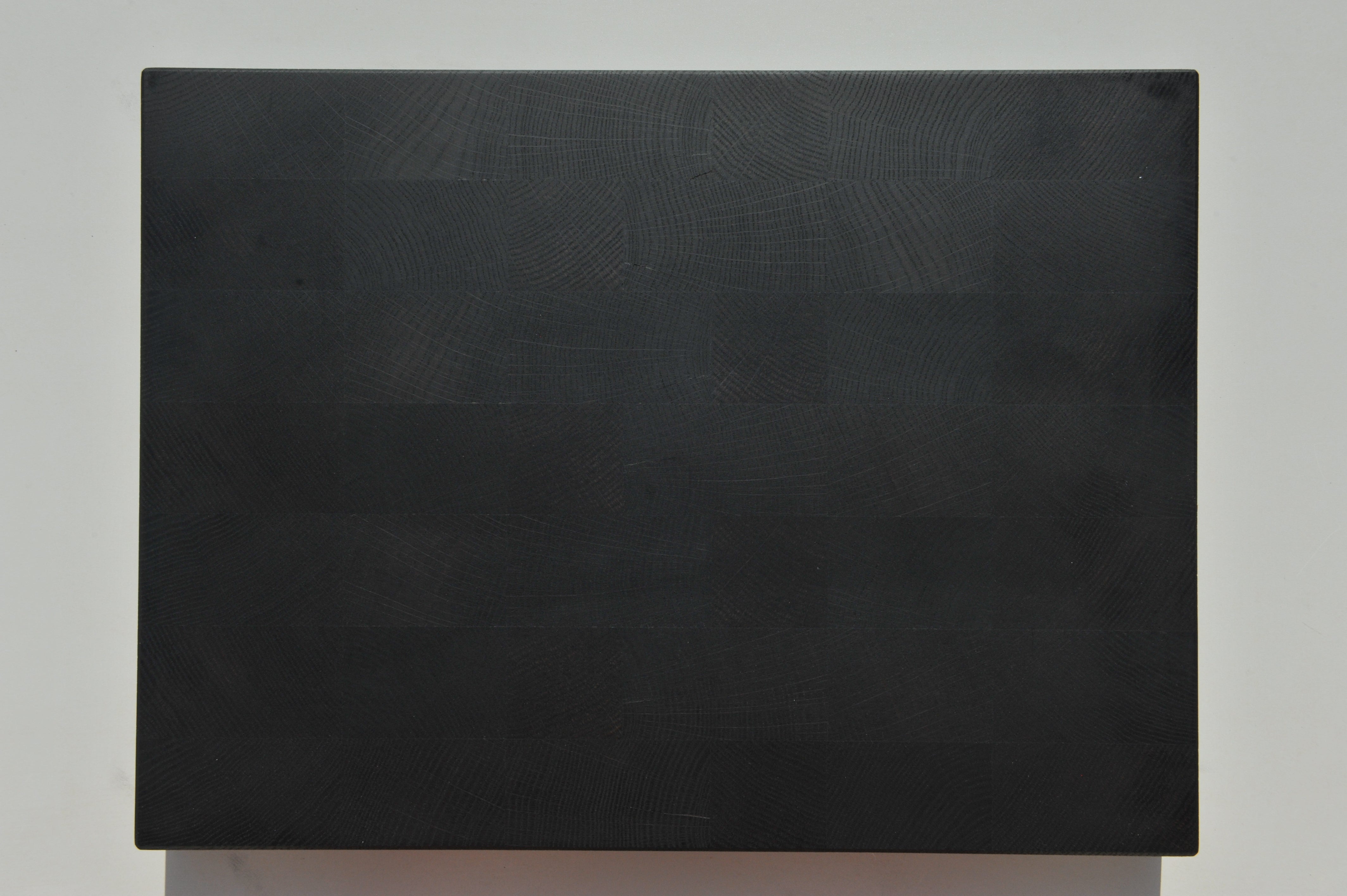 Schwarzeiche / Black Oak