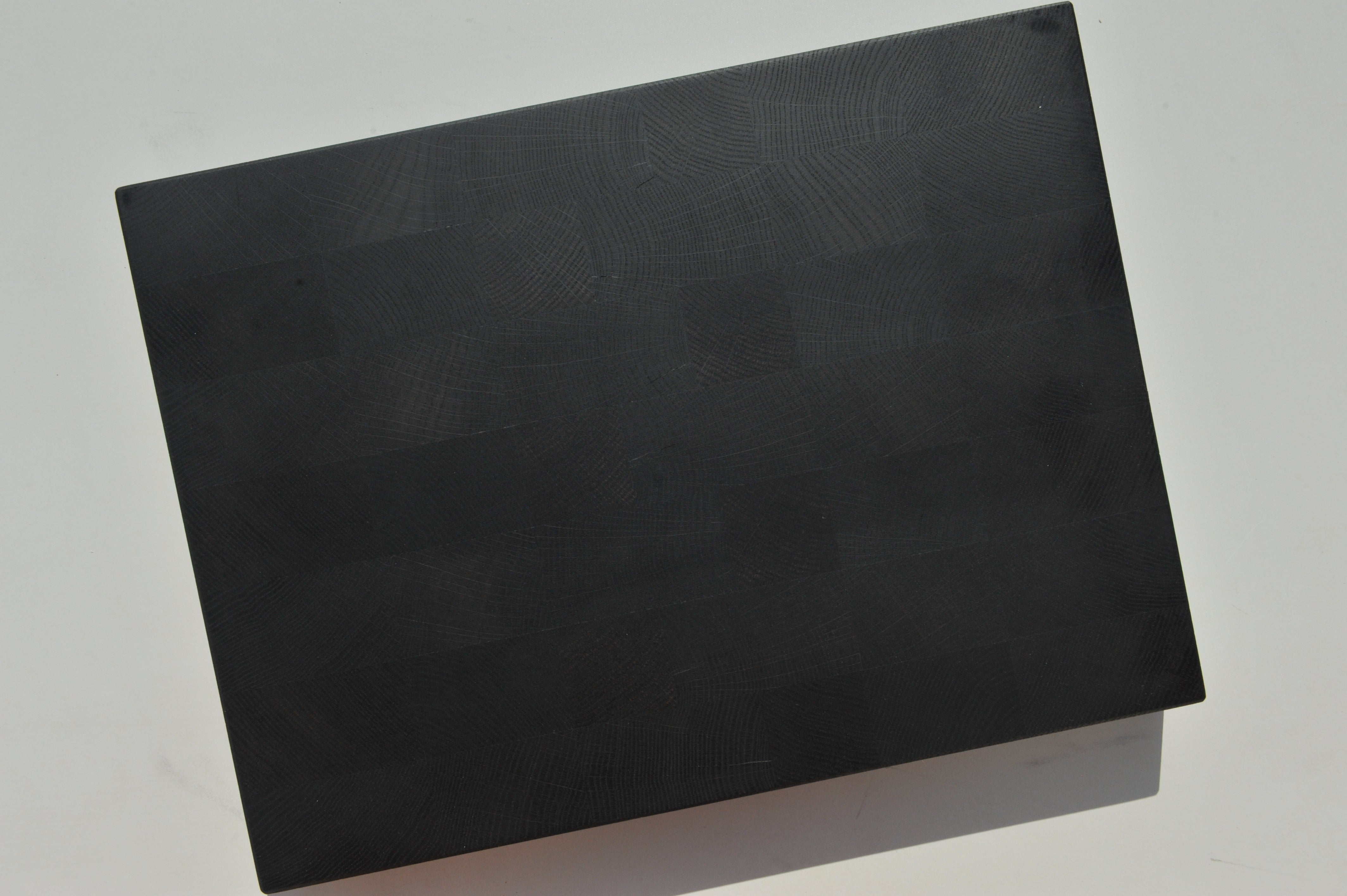 Schwarzeiche / Black Oak