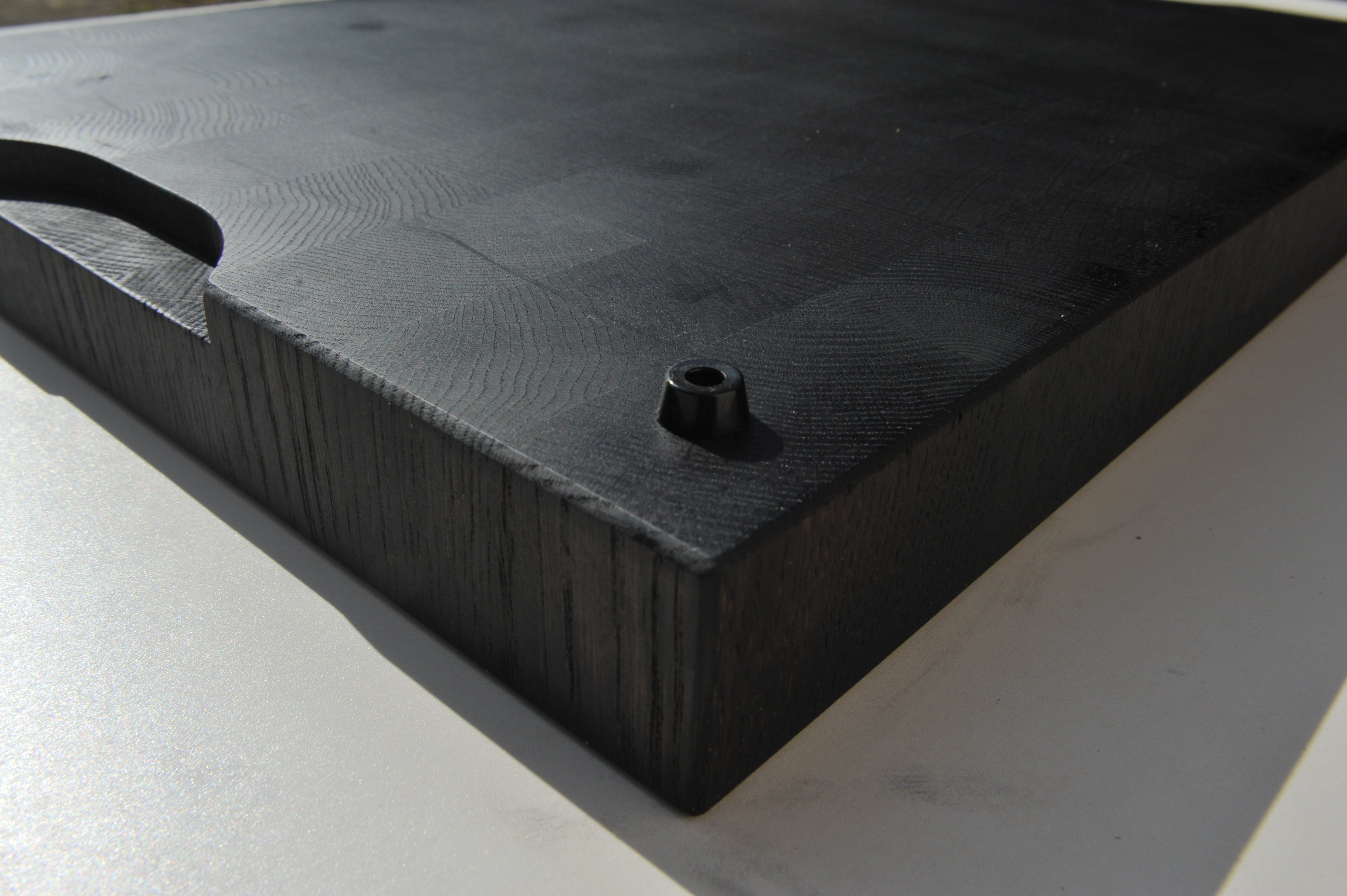 Schwarzeiche / Black Oak